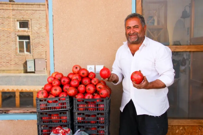 Pomegranate and farmer