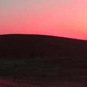 iran desert