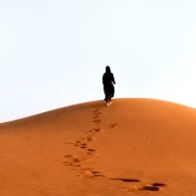 things to do in desert