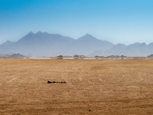 desert mirage is an example of