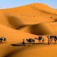 desert safari tour