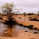 Water in the Desert