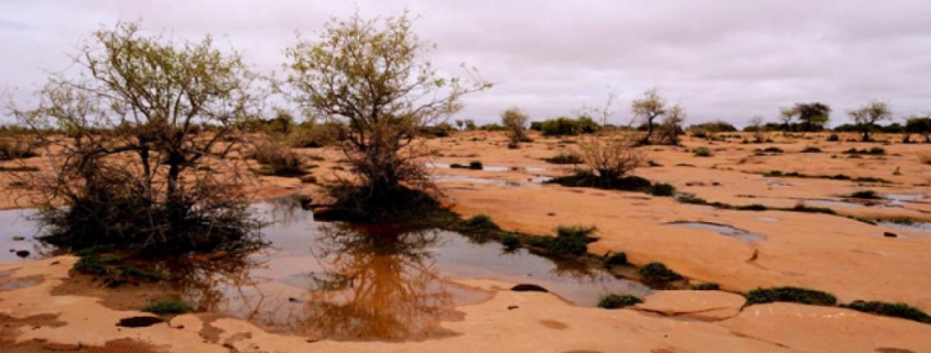 Water in the Desert