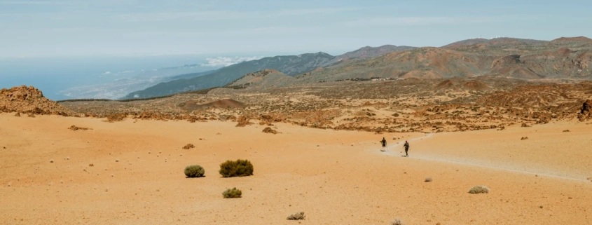 how to find water in the desert