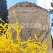 Mardavij Pigeon Towers