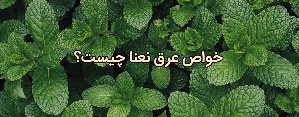 عرق نعنا برای معده